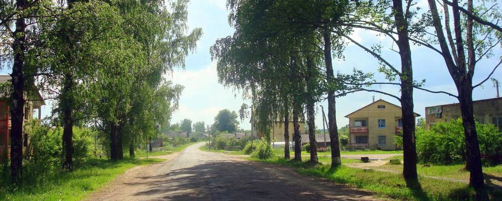 
            Фотография деревни Волчки