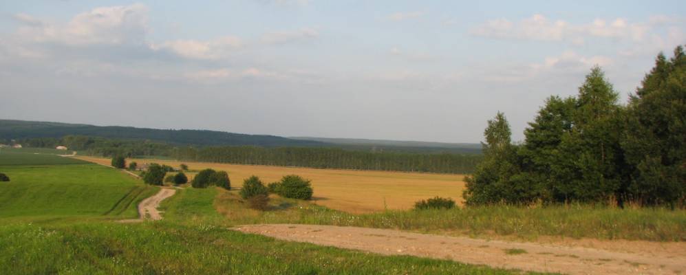 
            Фотография деревни Васевичи