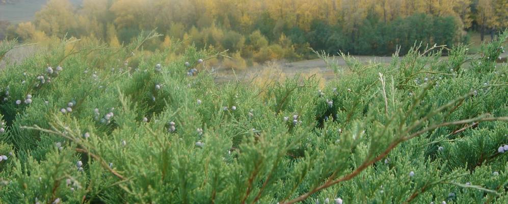 Фотография Тукатово Второго