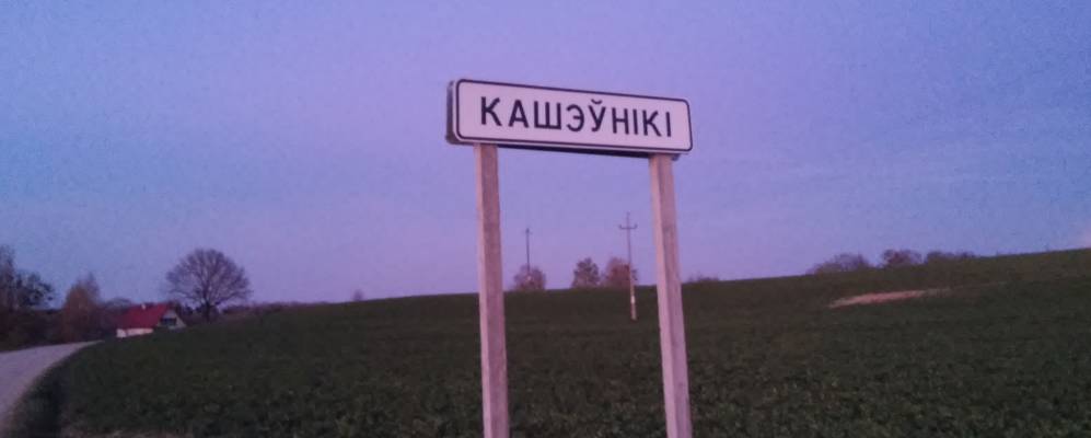 
            Фотография деревни Кошевники