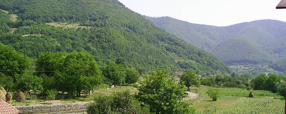 
            Фотография Roşcani