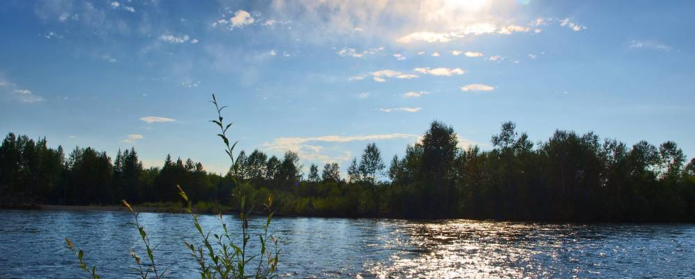 Фотография Бирюльки