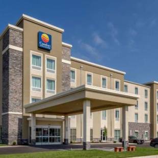 Фотографии гостиницы 
            Comfort Inn & Suites - Harrisburg Airport - Hershey South