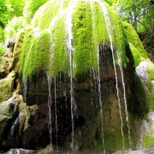 Фотография достопримечательности Водопад Серебряные струи 