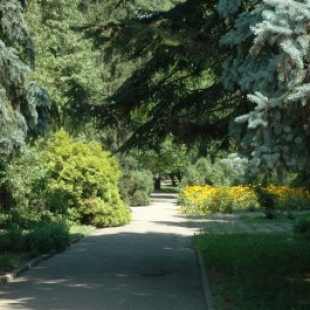 Фотография достопримечательности Парк им. И. Асмолова