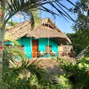 Фотография мини отеля Bellevue Zanzibar