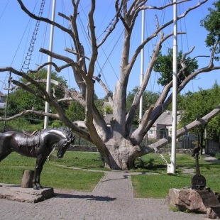 Фотография достопримечательности Запорожский дуб
