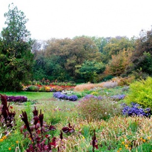 Фотография Ботанический сад