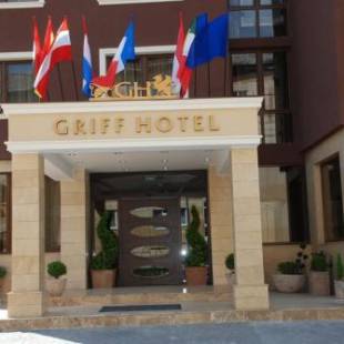 Фотографии гостиницы 
            Griff Hotel Zalau