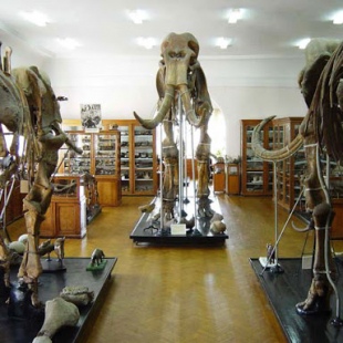 Фотография музея Зоологический музей Одесского национального университета им. И. И. Мечникова