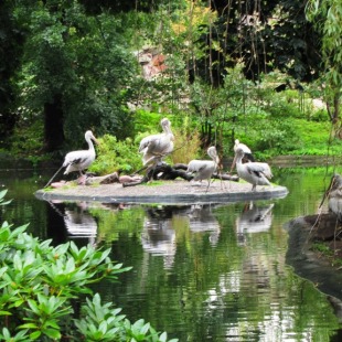 Фотография достопримечательности Калининградский зоопарк