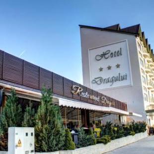 Фотографии гостиницы 
            Hotel Dragului