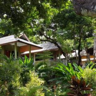 Фотографии гостиницы 
            Khao Sok Jungle Huts Resort
