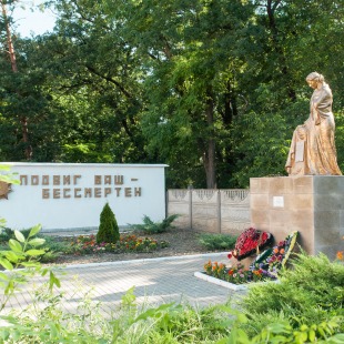 Фотография памятника Памятник Скорбящей Матери