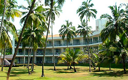 Фотографии гостиницы 
            Villa Ocean View