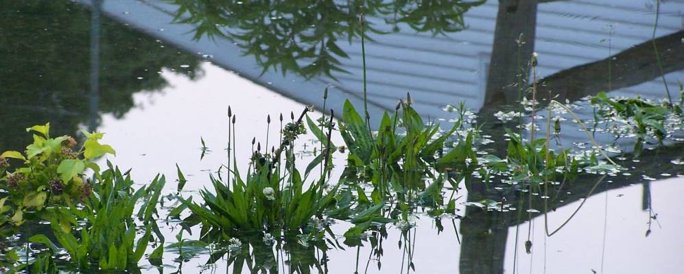 
            Фотография Тасколы