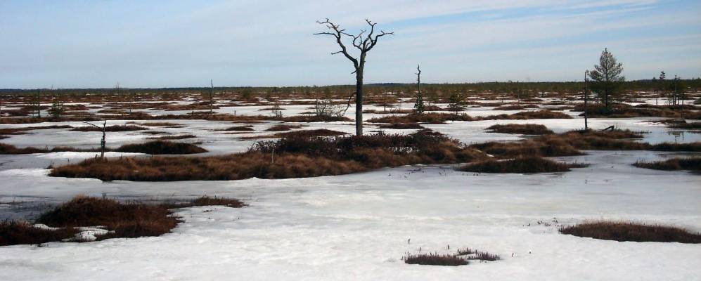 Фотография Скуратово