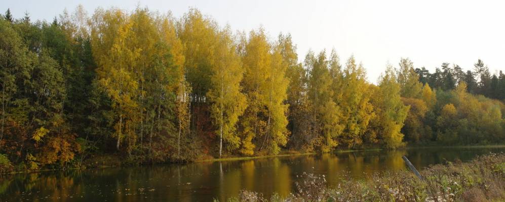 
            Фотография Никулино