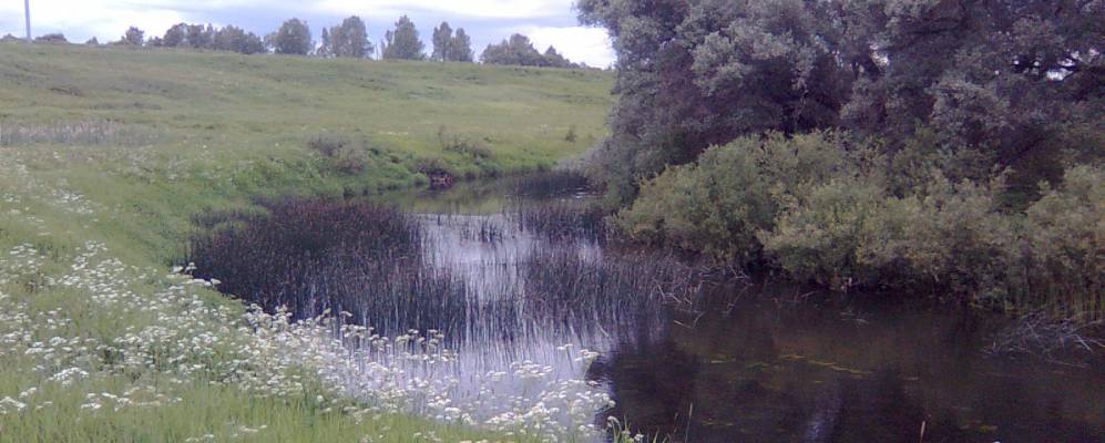 
            Фотография Тупичено