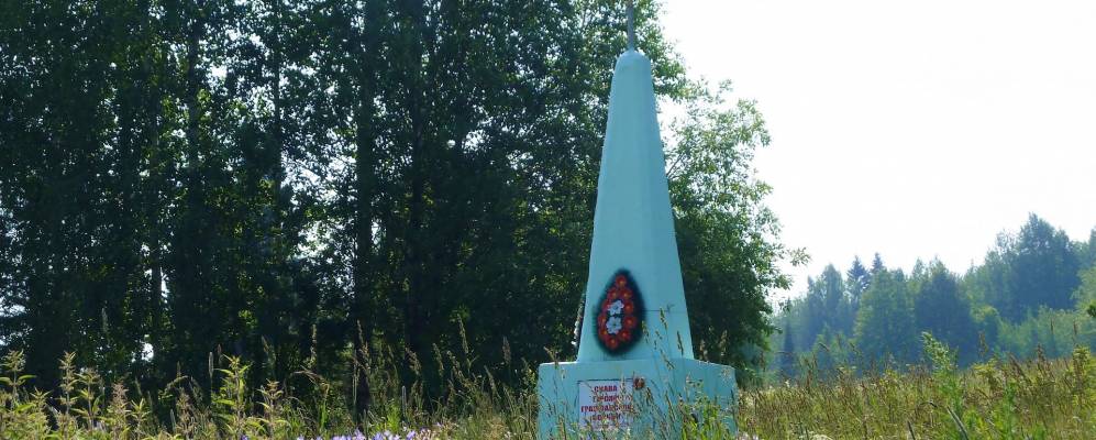 
            Фотография Сарги