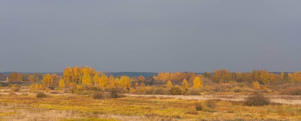 
            Фотография Бибковщины