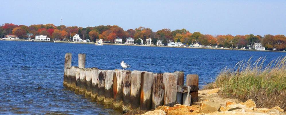 
            Фотография Оушн Гейта