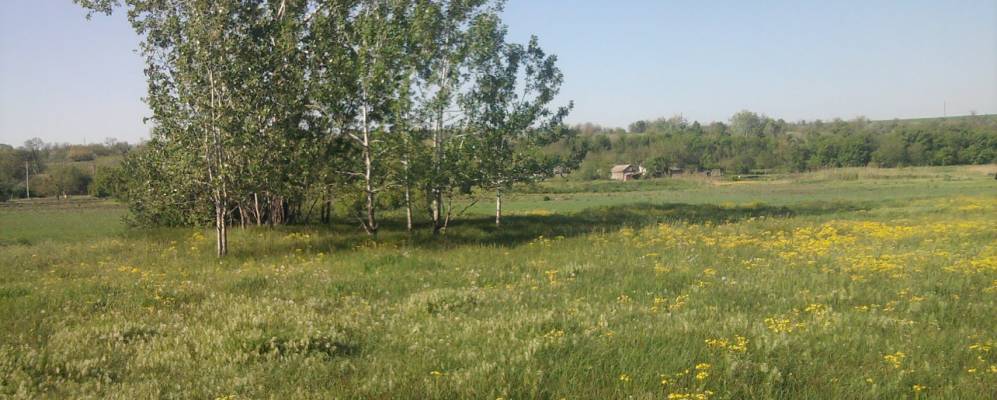 
            Фотография Катериновки