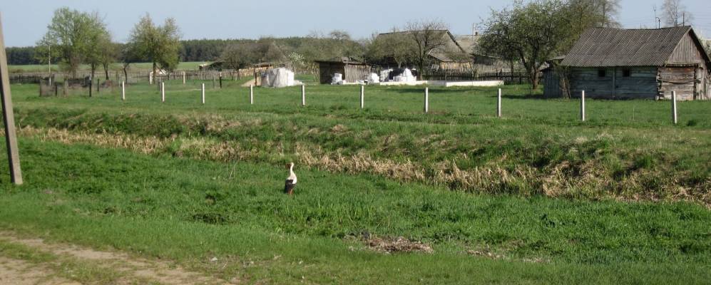 
            Фотография Франополя