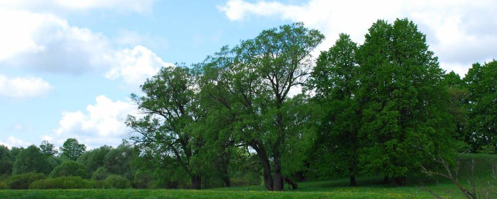 
            Фотография Будки