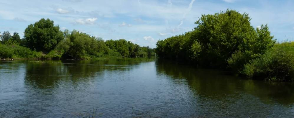 
            Фотография Заречной