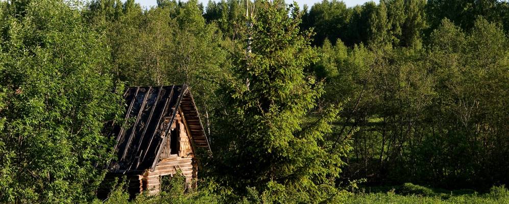 
            Фотография Васильевщины