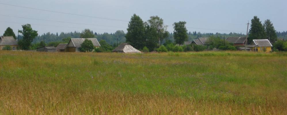 
            Фотография Селища