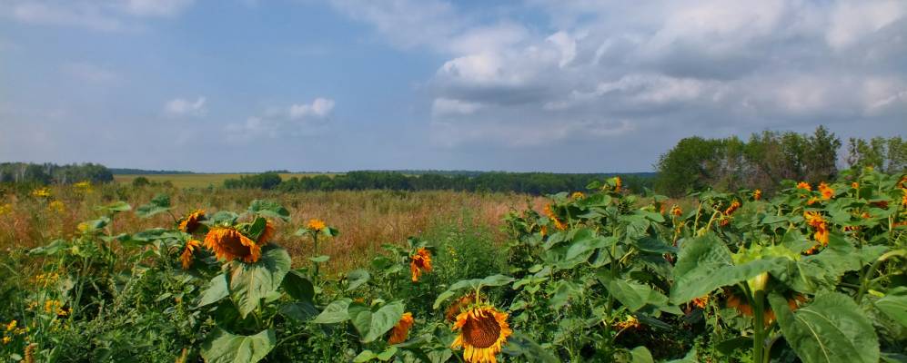 
            Фотография Арсёновки