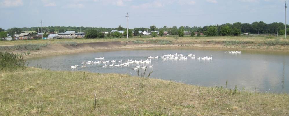 
            Фотография Кайбиц