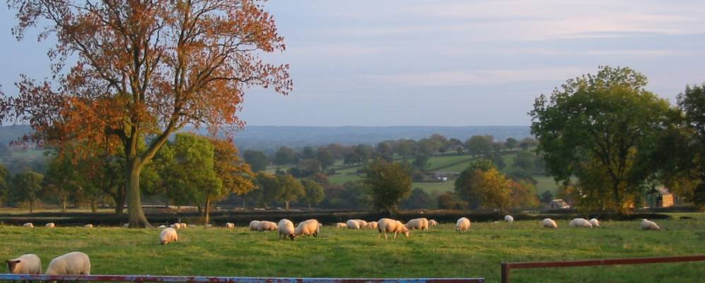 Фотография Альтона