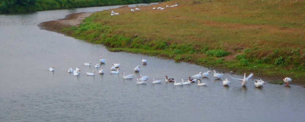 
            Фотография Синьял-Убеево