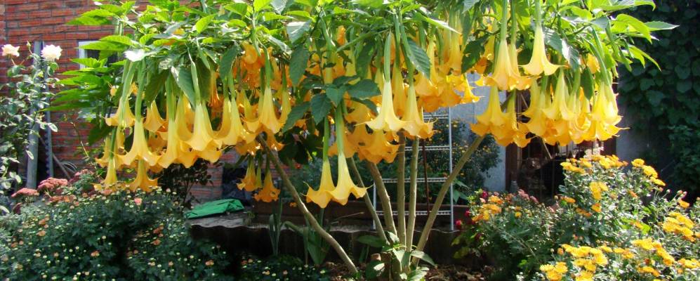 
            Фотография Мирного