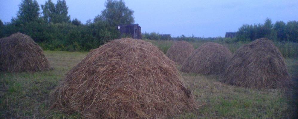 
            Фотография Благовещенки