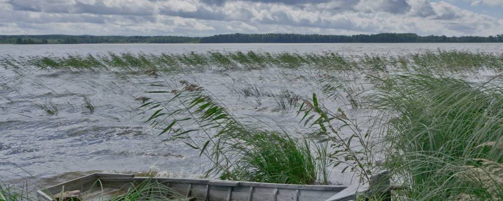 
            Фотография Нинисельги