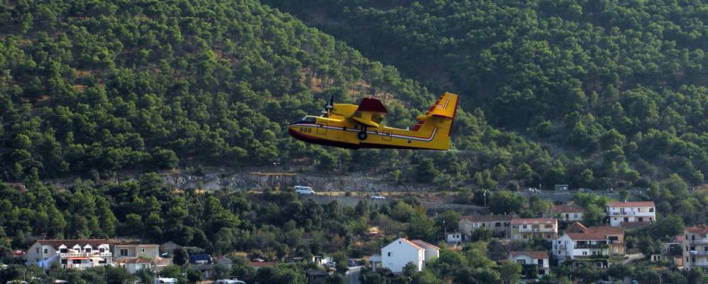 
            Фотография Гребастики