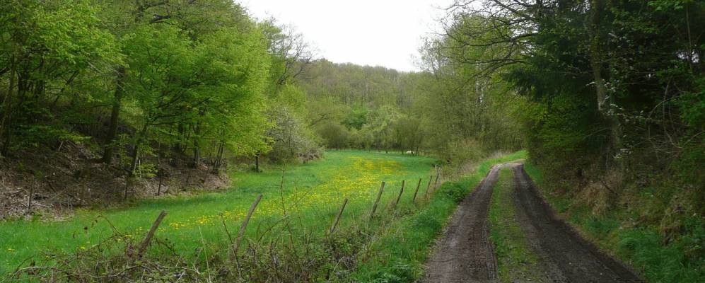 
            Фотография Файльбингерта