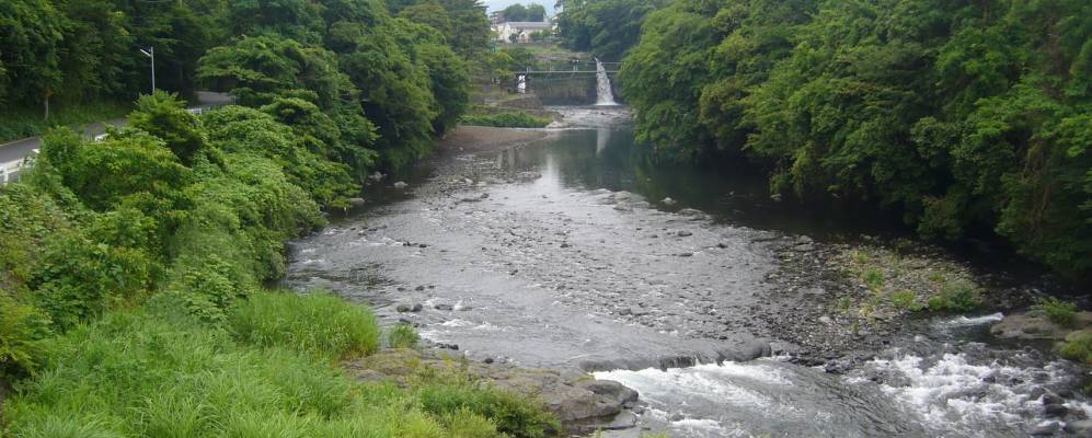 
            Фотография Сусоно