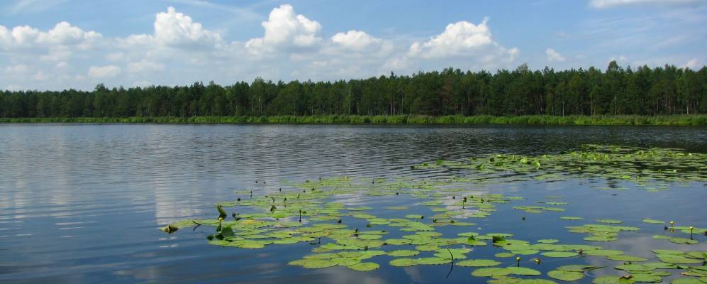 
            Фотография Турска