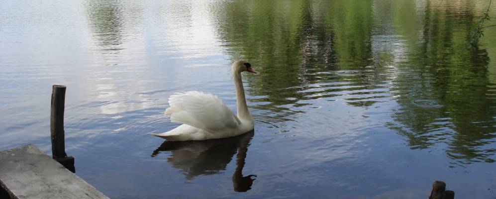 
            Фотография Малых Щербиничей