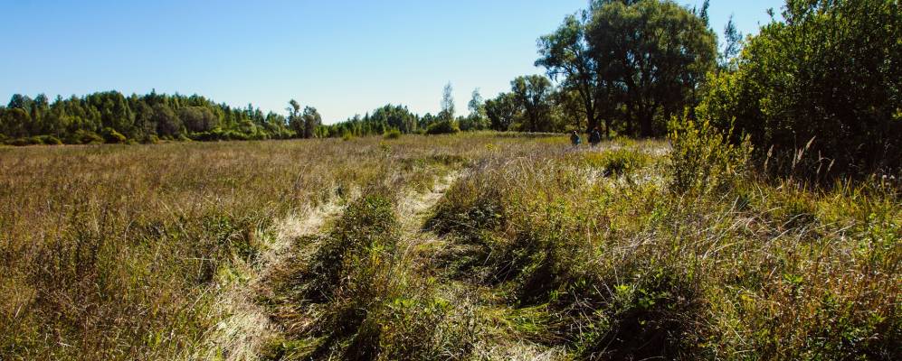Фотография Першнево