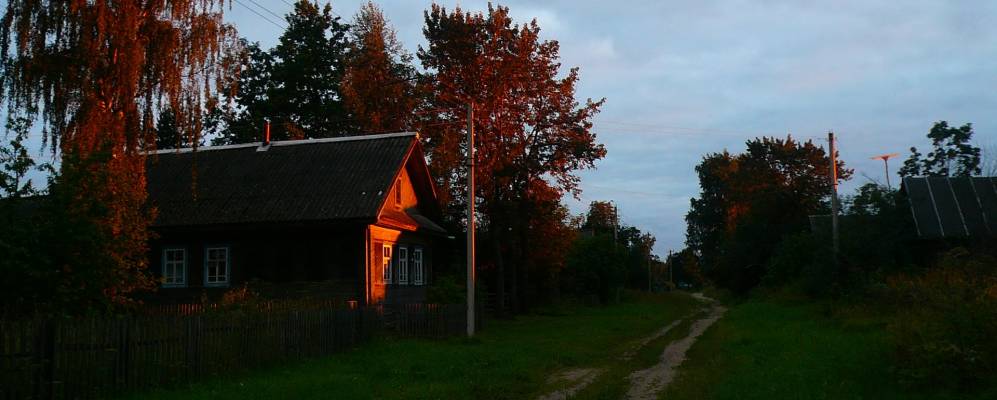 
            Фотография Подлипья