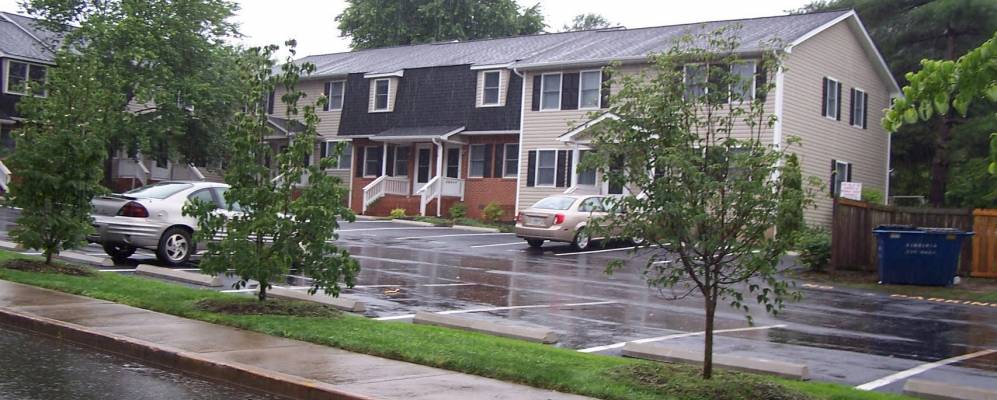 
            Фотография Калпепера