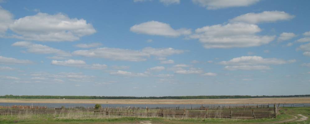 
            Фотография Камышей