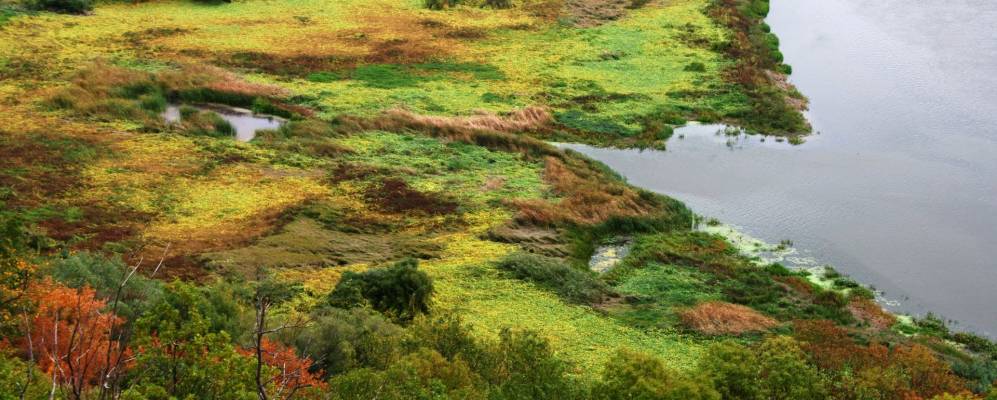 
            Фотография Новомаксимово