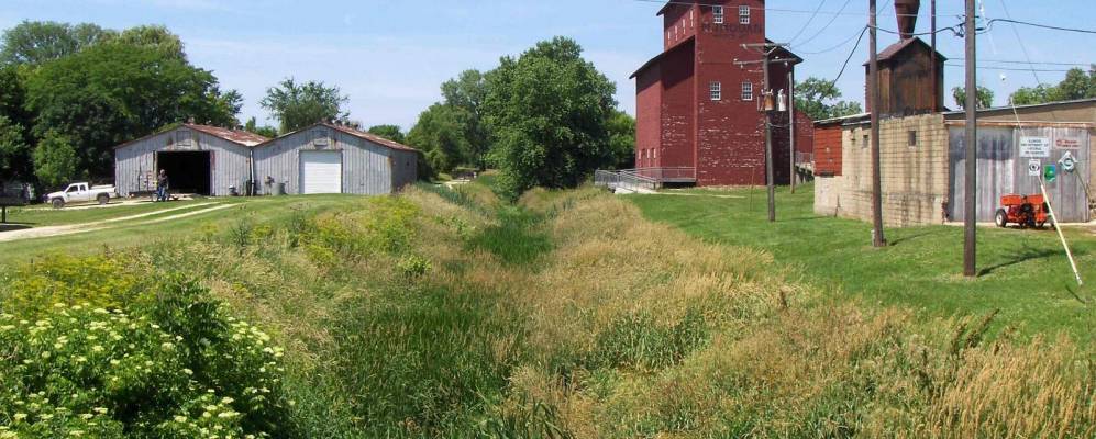 
            Фотография Cенекы